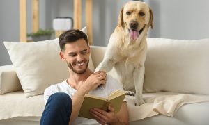 Veterinary professionals all Love a great Story, learn Why and How
