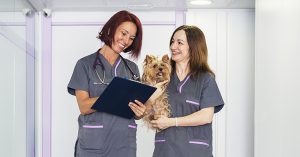 7 Essential Tips for New Nurses & Techs from Experienced Nurses & Techs